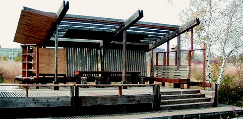 Eib's umbrella Pollak 